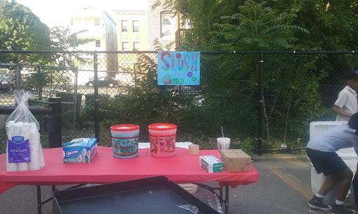 Park «Ceylon Park», reviews and photos, 105 Ceylon St, Boston, MA 02121, USA