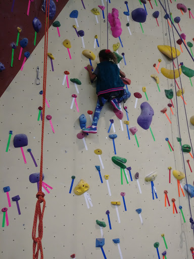 Rock Climbing Gym «Philadelphia Rock Gym - Wyncote», reviews and photos, 827 Glenside Ave #200, Wyncote, PA 19095, USA