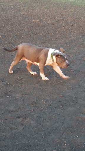 Dog Park «Dog Park», reviews and photos, 851 17th Ave SW, Altoona, IA 50009, USA