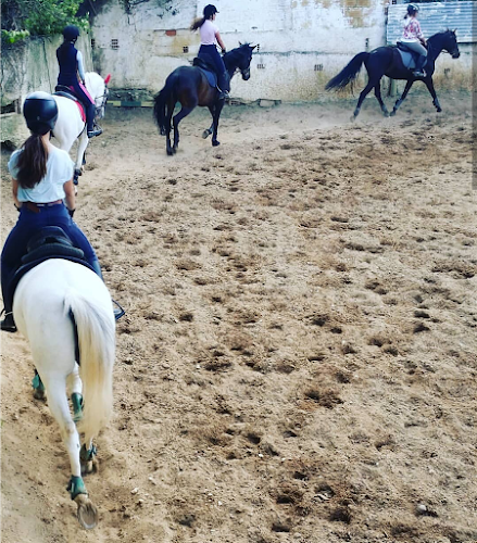 Clube equestre Catarina Vicente - Almada