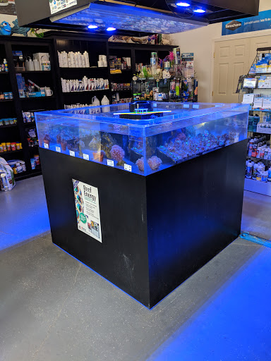 Pet Store «Mandarin SeaLife», reviews and photos, 9633 Old St Augustine Rd #2, Jacksonville, FL 32257, USA