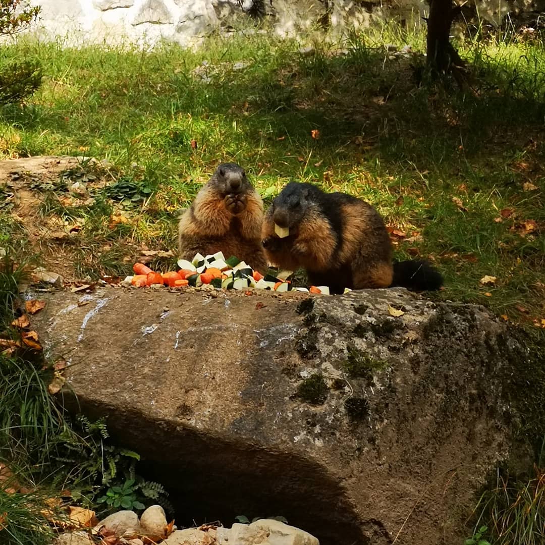 Photo n° 2 de l'avis de Xxx.x fait le 14/08/2020 à 21:01