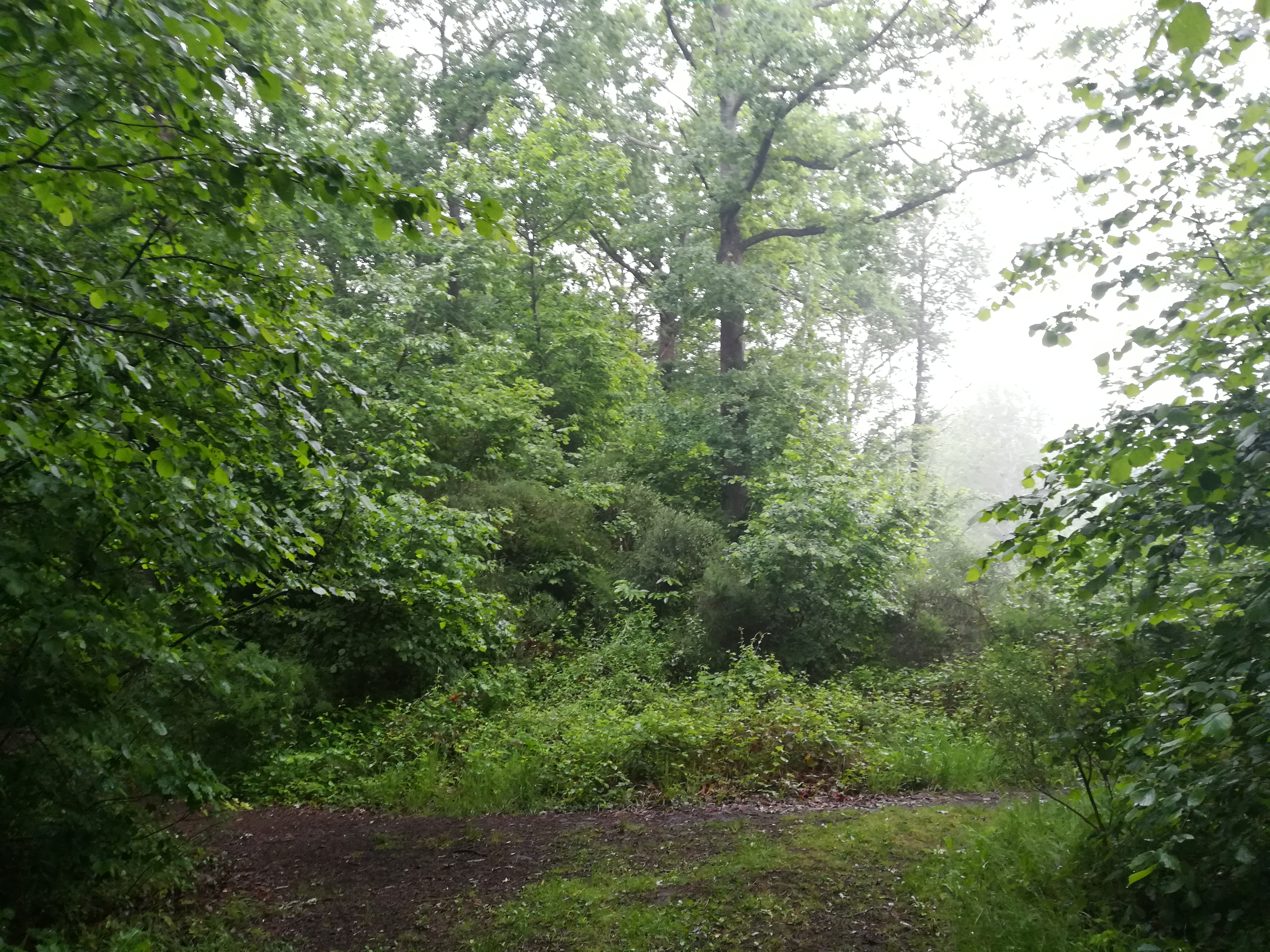 Photo n° 13 de l'avis de Nathalie.e fait le 17/06/2019 à 19:40