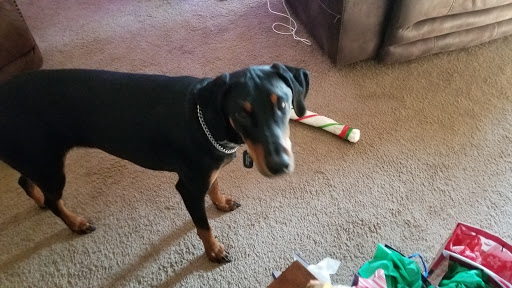 Pet Store «Pet Valu», reviews and photos, 1301 W Skippack Pike, Blue Bell, PA 19422, USA