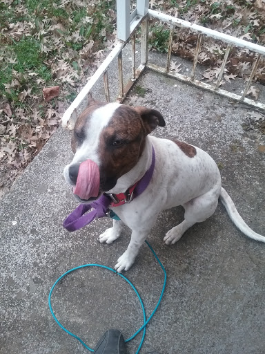 Recreation Center «Madisonville Recreation Center», reviews and photos, 5320 Stewart Ave, Cincinnati, OH 45227, USA