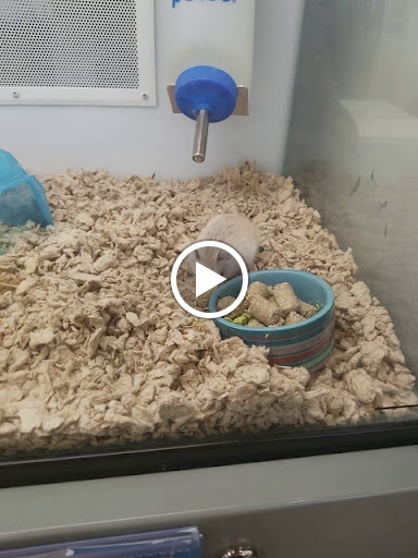 Pet Supply Store «Petco Animal Supplies», reviews and photos, 12444 NW 10th St #301, Yukon, OK 73099, USA