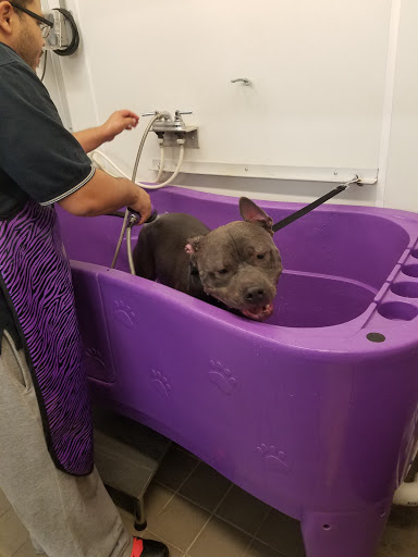 Pet Supply Store «Bow Wow and Meow Pet Supplies», reviews and photos, 1648 S 4th St, Allentown, PA 18103, USA