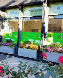 Coco and Toto - Photo 2 - Car repair in New York, NY, Manhattan