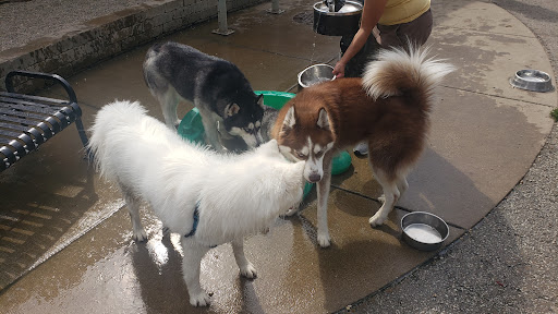 Dog Park «Portage Dog Friendly Area», reviews and photos, 4100 N Long Ave, Chicago, IL 60641, USA