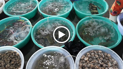 Top 20 cửa hàng tâm house Huyện Cần Giờ Hồ Chí Minh 2022