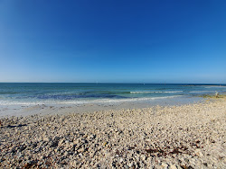 Dunedin Beach'in fotoğrafı düz ve uzun ile birlikte