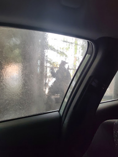 Car Wash «Beach Cities Car Wash», reviews and photos, 2305 Lincoln Blvd, Venice, CA 90291, USA