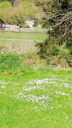 Vidéos Lodge Gîte des 3 chênes 60230 Chambly