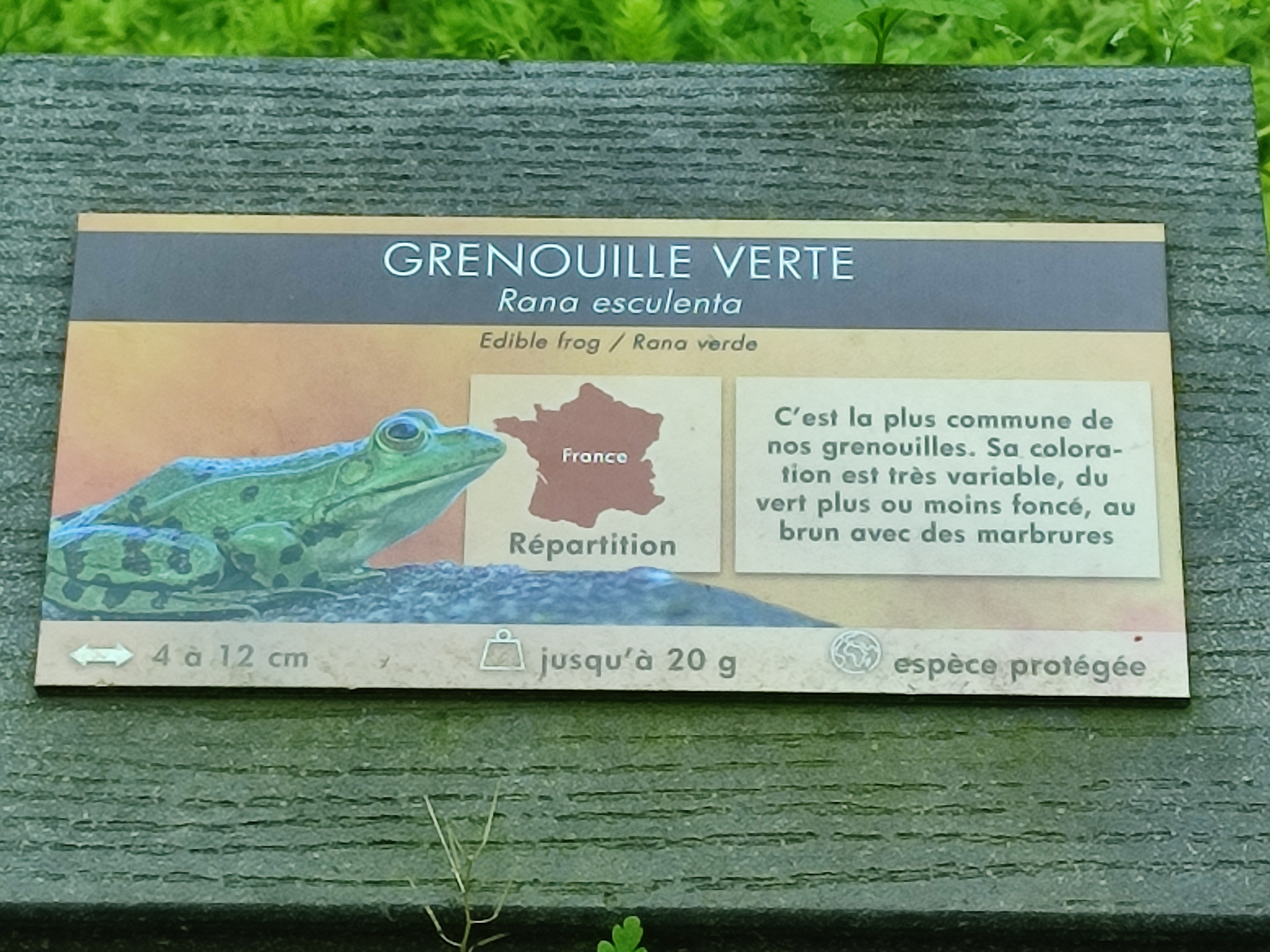 Photo n° 12 de l'avis de Julien.a fait le 02/06/2023 à 04:00