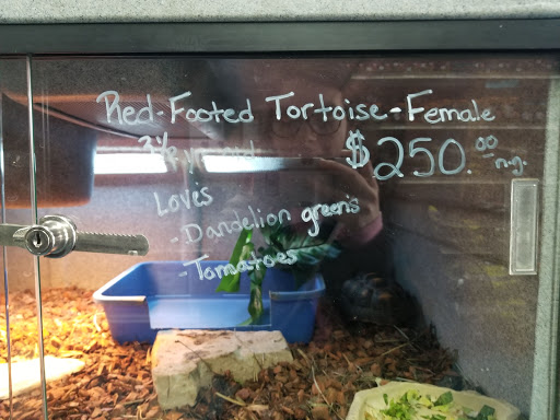 Pet Store «V.I. Pets», reviews and photos, 11975 E Lakewood Blvd, Holland, MI 49424, USA