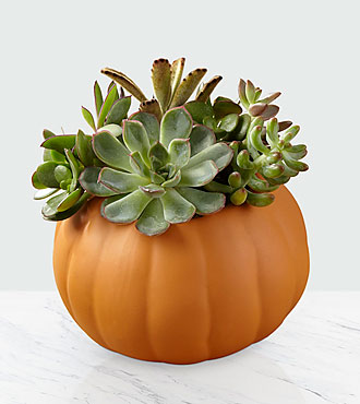 Florist «Bates Flowers by DZyne», reviews and photos, 813 4th Ave, Grinnell, IA 50112, USA