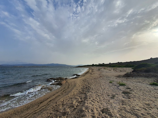 Vecchia Dogana Beach