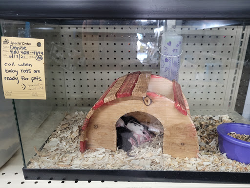 Pet Supply Store «Paw Shoppe Pet Center», reviews and photos, 6416 E Spring St, Long Beach, CA 90815, USA