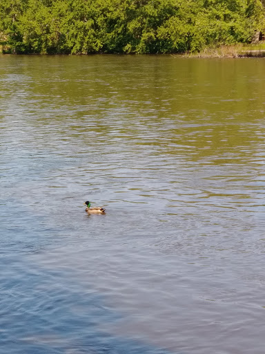 Park «Hudson Crossing Park», reviews and photos, S Harrison St, Oswego, IL 60543, USA