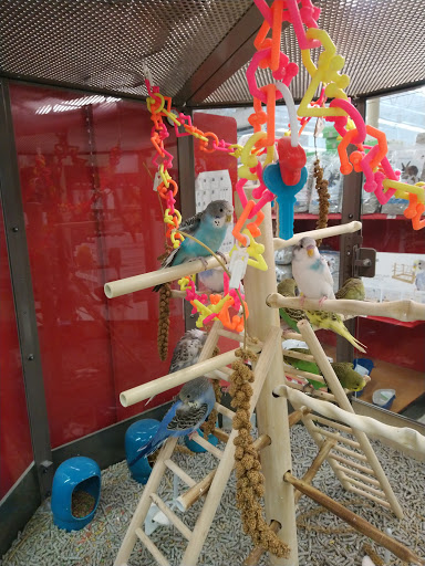 Pet Supply Store «Petco Animal Supplies», reviews and photos, 187 Stonebrook Pl, Jackson, TN 38305, USA