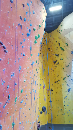 Rock Climbing «Planet Rock Climbing Gym», reviews and photos, 1103 W 13 Mile Rd, Madison Heights, MI 48071, USA