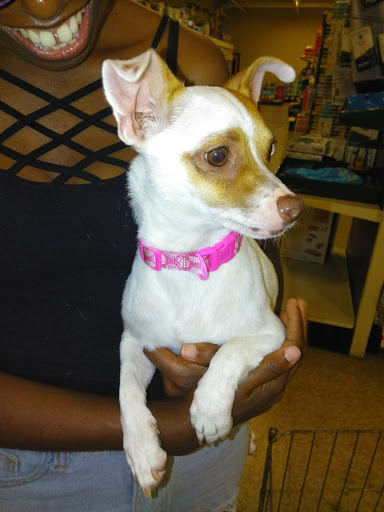 Pet Supply Store «PetSmart», reviews and photos, 1196 W Olive Ave, Merced, CA 95348, USA