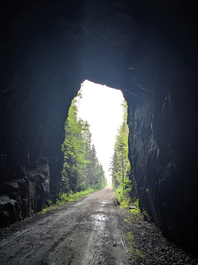 Flett Tunnel