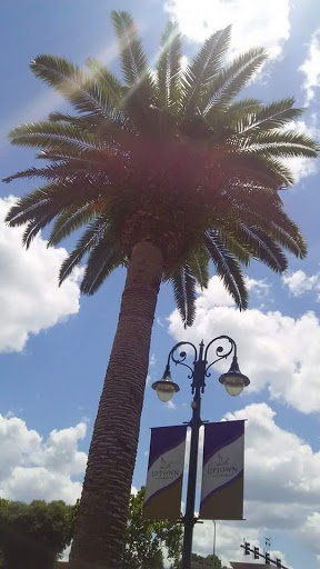 Park «Cranes Roost Park», reviews and photos, 274 Cranes Roost Blvd, Altamonte Springs, FL 32701, USA