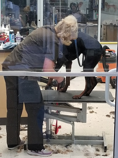 Pet Supply Store «Petco Animal Supplies», reviews and photos, 438 Southbridge St, Auburn, MA 01501, USA