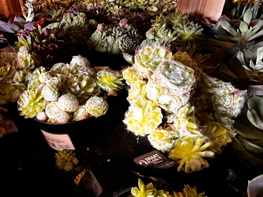 Home Improvement Store «The Home Depot», reviews and photos, 750 US-130, Robbinsville, NJ 08691, USA