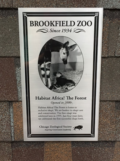 Zoo «Habitat Africa! The Forest», reviews and photos, 3300 Golf Rd, Brookfield, IL 60513, USA