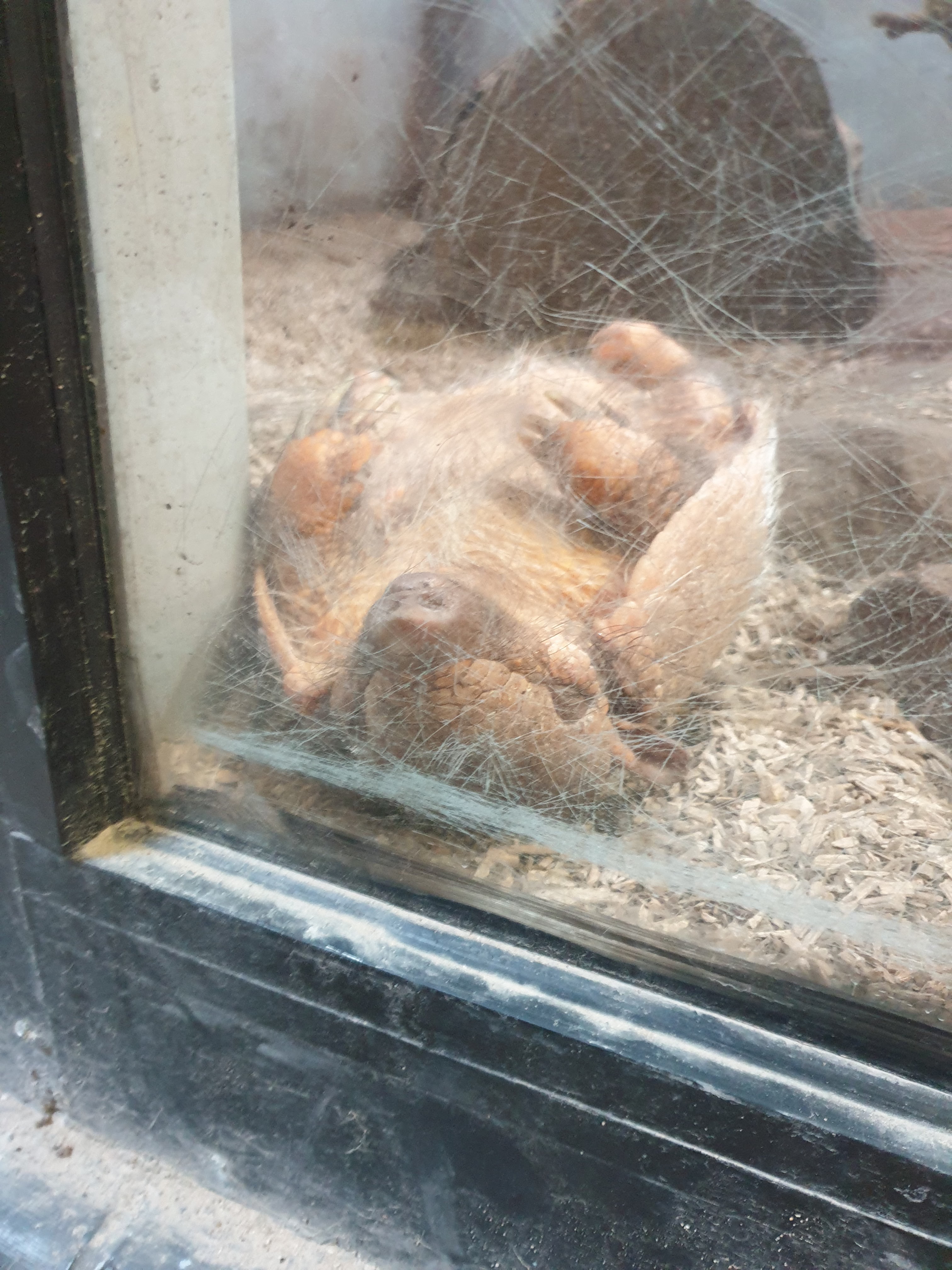 Photo n° 9 de l'avis de Ho.a fait le 16/07/2022 à 15:46