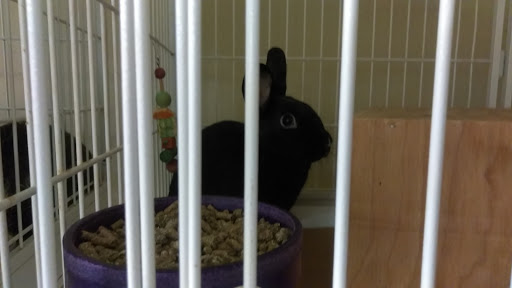 Pet Supply Store «Petco Animal Supplies», reviews and photos, 855 E Bidwell St, Folsom, CA 95630, USA