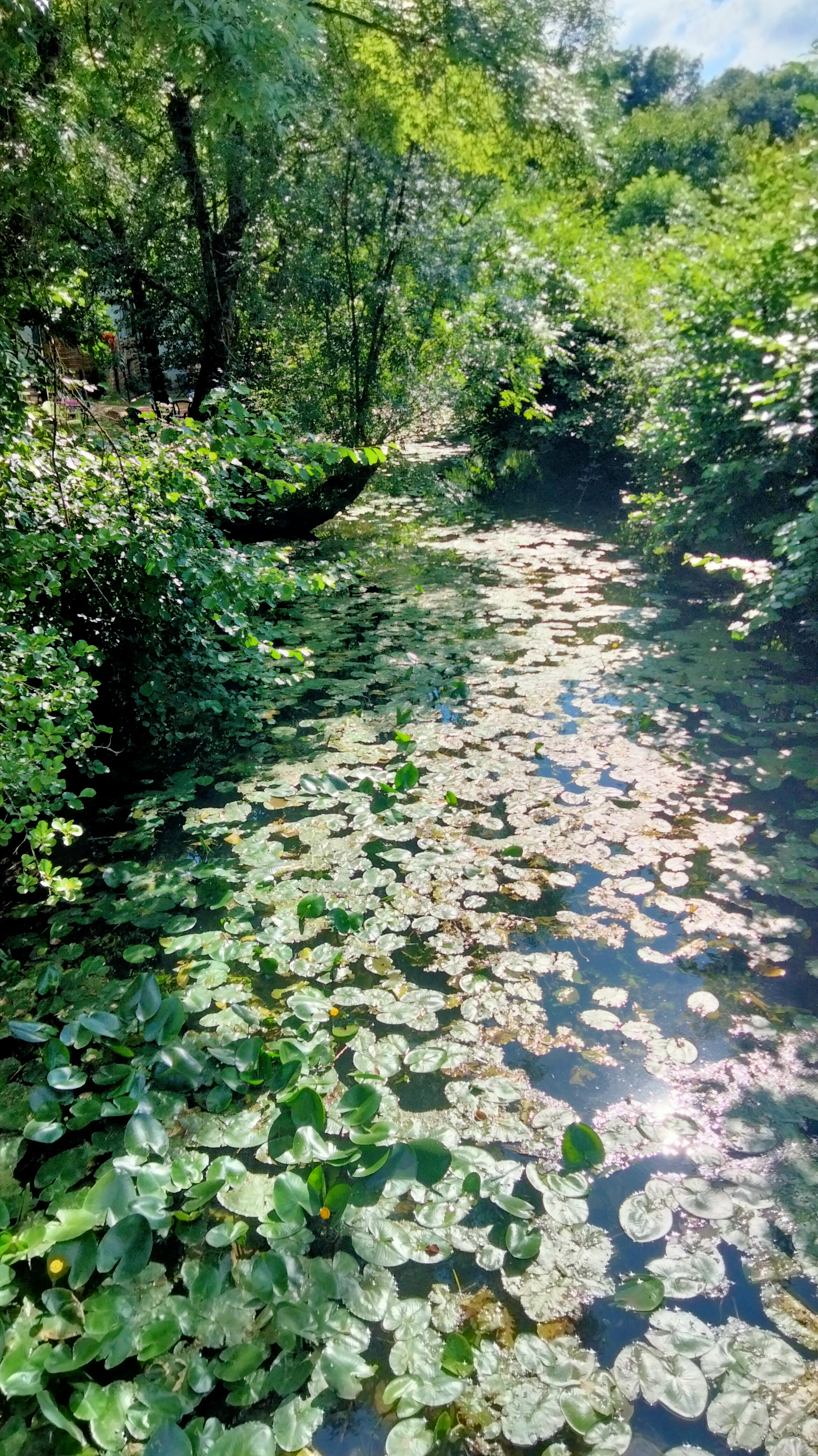Photo n° 2 de l'avis de lysiane.e fait le 12/07/2019 à 14:51