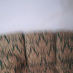 Photo n°5 de l'avis de Damiano.a fait le 25/03/2019 à 12:38 sur le  Agriturismo Val Di Castro à Fabriano