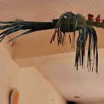 Photo n°7 de l'avis de Jorge.i fait le 20/09/2021 à 21:08 sur le  Pizza Pazza à Vila do Bispo