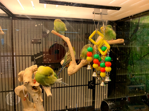 Pet Supply Store «PetSmart», reviews and photos, 400 Universal Dr N, North Haven, CT 06473, USA