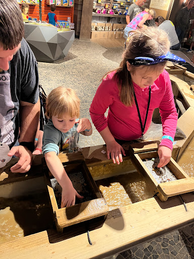 Resort «Great Wolf Lodge», reviews and photos, 100 Great Wolf Dr, Grapevine, TX 76051, USA