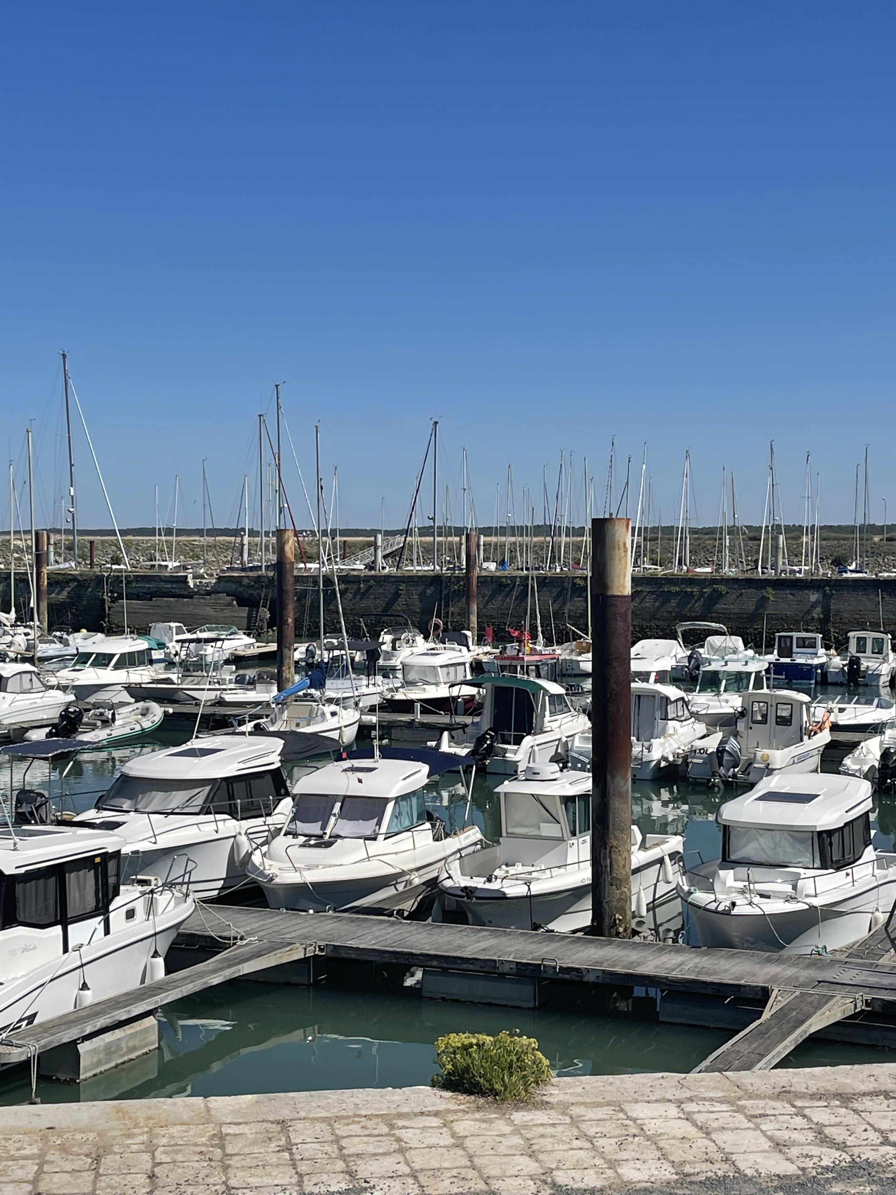 Photo n° 3 de l'avis de SILVIA.U fait le 07/08/2022 à 21:11