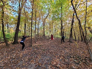 Maple Woods Natural Area - photo 8