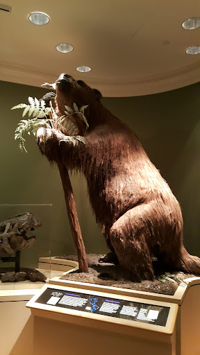 Planetarium «Fernbank Science Center», reviews and photos, 156 Heaton Park Dr, Atlanta, GA 30307, USA