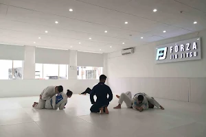 Forza Jiu Jitsu image