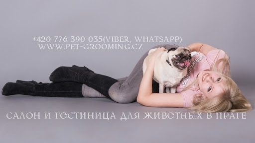 PetGrooming Company