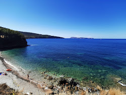 Kamenica beach'in fotoğrafı kısmen tatil bölgesi