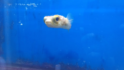 Shopping Mall «Chester Shopping Mall», reviews and photos, 23 W Main St, Chester, NJ 07930, USA