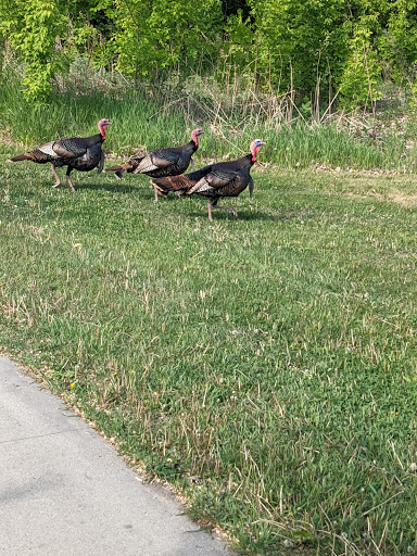 Shopping Mall «Moorhead Center Mall», reviews and photos, 510 Center Ave, Moorhead, MN 56560, USA