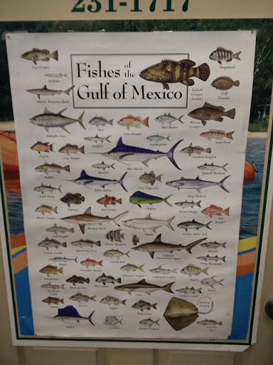 Grocery Store «Grayton General Store», reviews and photos, 32 E Co Hwy 30A # A, Santa Rosa Beach, FL 32459, USA