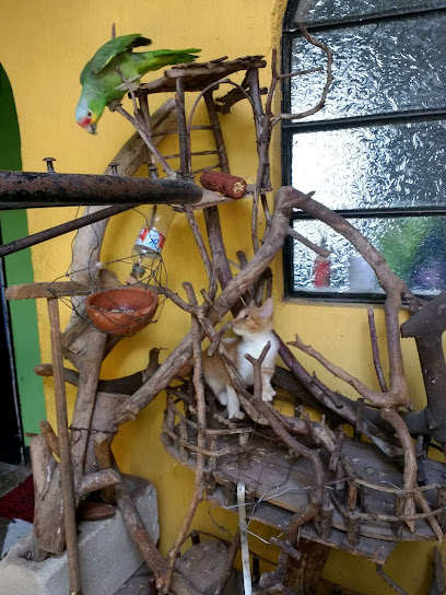 Mejores Empresas de Servicios de Vivienda en Mixco