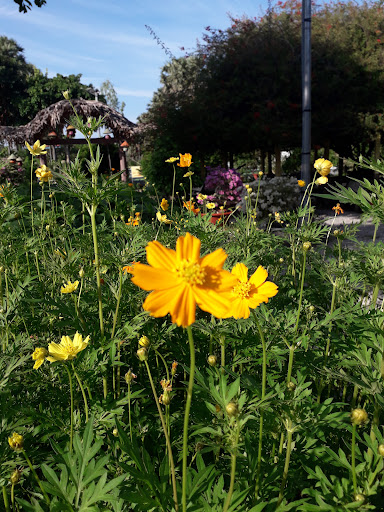 Top 20 mẫu cửa hàng đẹp Huyện Tịnh Biên An Giang 2022