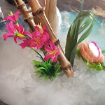 Photo n°4 de l'avis de Isabella.a fait le 30/03/2023 à 12:33 sur le  SUSHI E BAR TAIYO à Adria